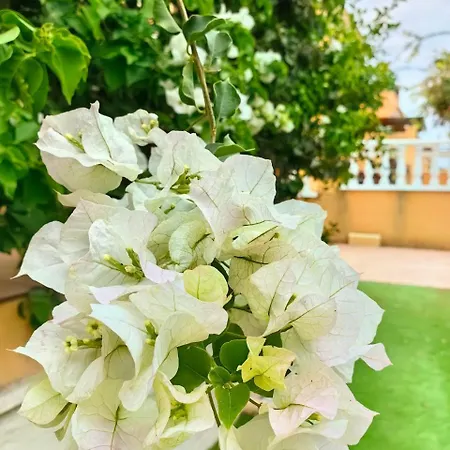 Holiday home Aguas Nuevas *