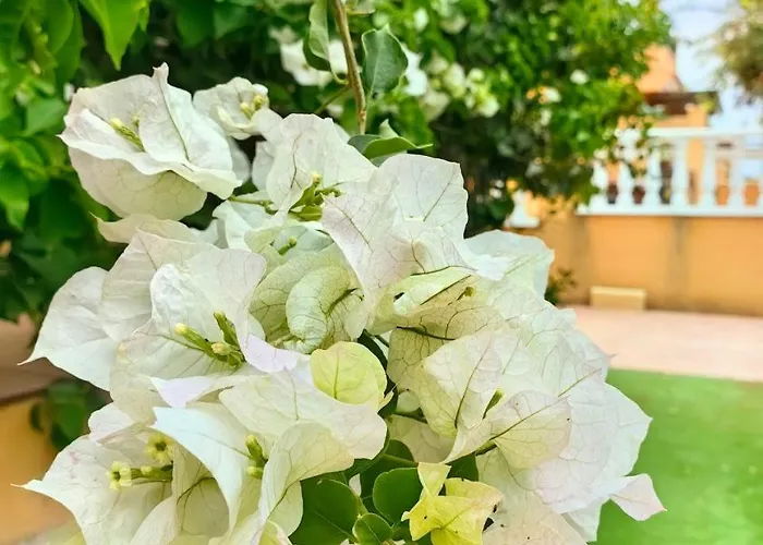 بيت للعطل Aguas Nuevas *